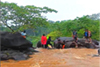 Mangaluru: Tourists enjoy Paladka Erugundi falls amid heavy rain; timely rescue by locals averts tragedy